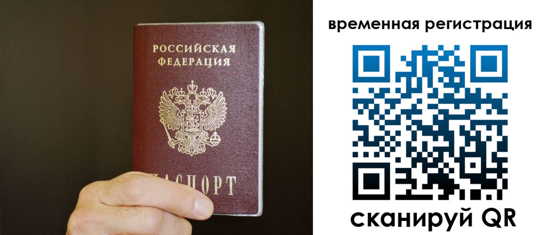 прописка гарантия в Рязанской области